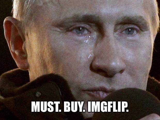 Too. Many. Calls. | MUST. BUY. IMGFLIP. | image tagged in putin crying,meanwhile on imgflip | made w/ Imgflip meme maker