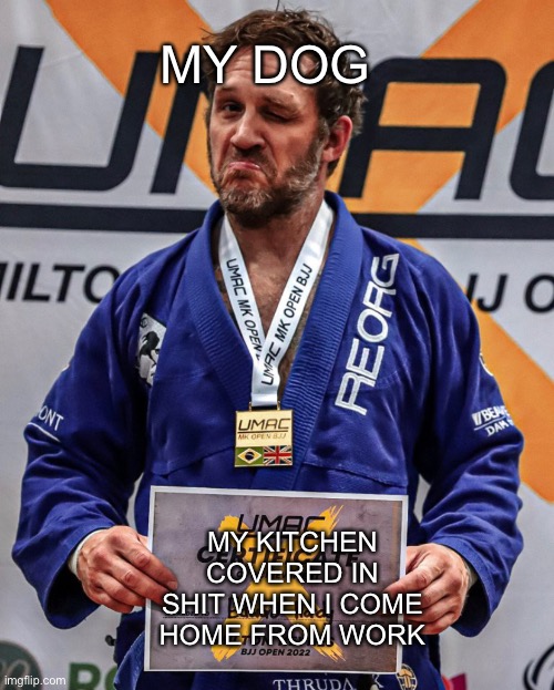 MY DOG; MY KITCHEN COVERED IN SHIT WHEN I COME HOME FROM WORK | made w/ Imgflip meme maker