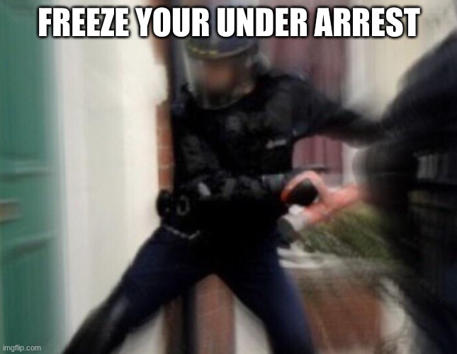 FBI Door Breach | FREEZE YOUR UNDER ARREST | image tagged in fbi door breach | made w/ Imgflip meme maker