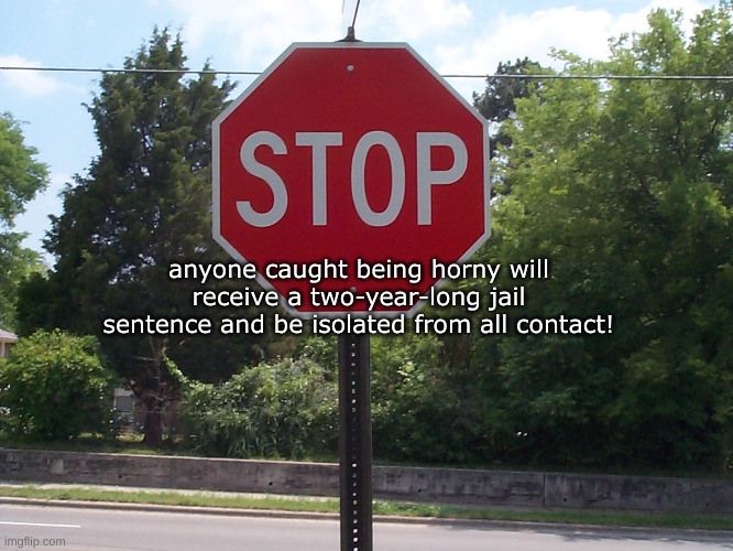 oh shit some of dem might like that though | anyone caught being horny will receive a two-year-long jail sentence and be isolated from all contact! | image tagged in stop sign | made w/ Imgflip meme maker