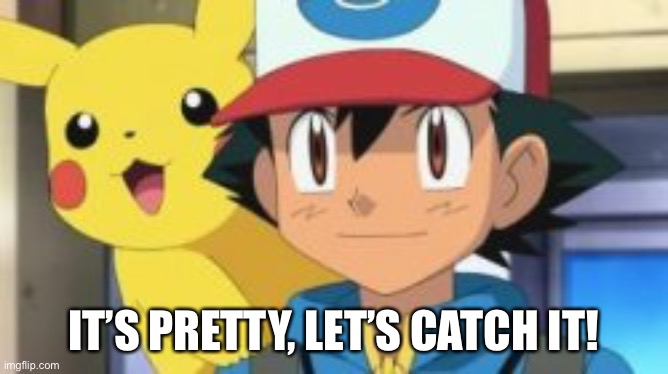 IT’S PRETTY, LET’S CATCH IT! | made w/ Imgflip meme maker