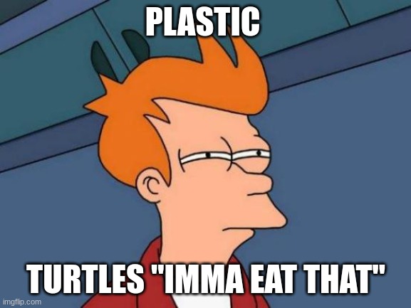 but its like why | PLASTIC; TURTLES "IMMA EAT THAT" | image tagged in memes,futurama fry | made w/ Imgflip meme maker