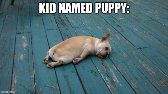 tired dog | KID NAMED PUPPY: | image tagged in tired dog | made w/ Imgflip meme maker