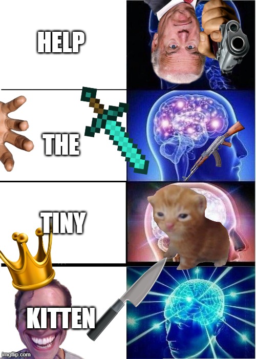 help him | HELP; THE; TINY; KITTEN | image tagged in memes,expanding brain | made w/ Imgflip meme maker