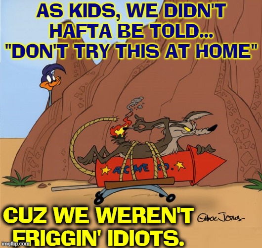 "Can you define rocket scientist." I can't. I'm no astrophysicist. |  AS KIDS, WE DIDN'T
HAFTA BE TOLD...
"DON'T TRY THIS AT HOME"; CUZ WE WEREN'T
FRIGGIN' IDIOTS. | image tagged in vince vance,the roadrunner,wile e coyote,cartoons,rockets,acme | made w/ Imgflip meme maker