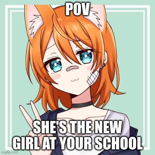 Highschool rp|Sorry about not posting for a while|Rules in tags | POV; SHE'S THE NEW GIRL AT YOUR SCHOOL | image tagged in any rp,no erp,no joke ocs,no military ocs | made w/ Imgflip meme maker