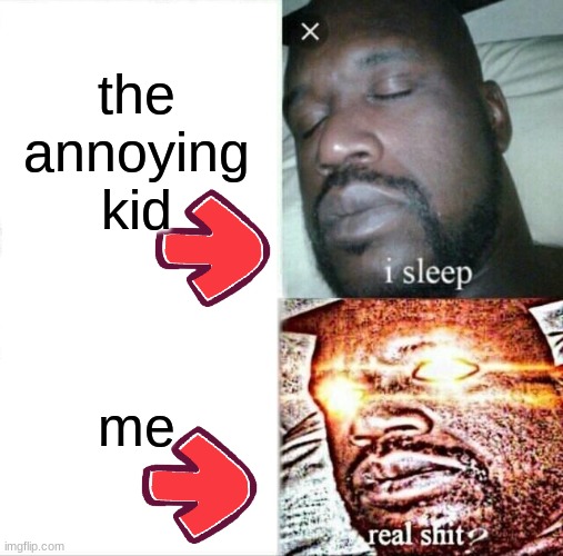 me and the annoying kid | the annoying kid; me | image tagged in memes,sleeping shaq | made w/ Imgflip meme maker