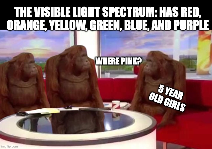 Pink | THE VISIBLE LIGHT SPECTRUM: HAS RED, ORANGE, YELLOW, GREEN, BLUE, AND PURPLE; WHERE PINK? 5 YEAR OLD GIRLS | image tagged in where monkey | made w/ Imgflip meme maker
