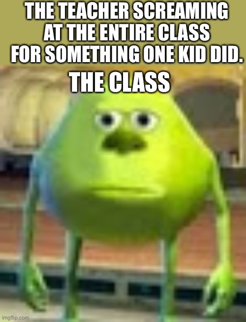 Sully Wazowski | THE TEACHER SCREAMING AT THE ENTIRE CLASS FOR SOMETHING ONE KID DID. THE CLASS | image tagged in sully wazowski | made w/ Imgflip meme maker