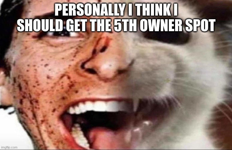 american psycho cat | PERSONALLY I THINK I SHOULD GET THE 5TH OWNER SPOT | image tagged in american psycho cat | made w/ Imgflip meme maker