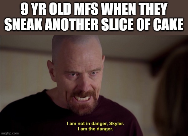 i am not in danger skyler i am the danger | 9 YR OLD MFS WHEN THEY SNEAK ANOTHER SLICE OF CAKE | image tagged in i am not in danger skyler i am the danger | made w/ Imgflip meme maker