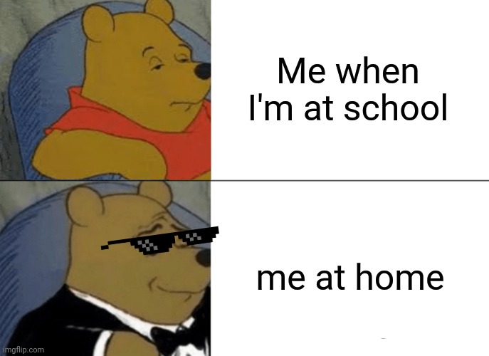 School/Home | Me when I'm at school; me at home | image tagged in memes,tuxedo winnie the pooh | made w/ Imgflip meme maker