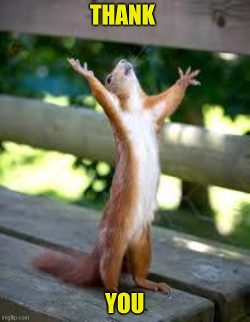 Praise Squirrel | THANK YOU | image tagged in praise squirrel | made w/ Imgflip meme maker