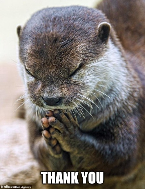 Thank you Lord Otter | THANK YOU | image tagged in thank you lord otter | made w/ Imgflip meme maker