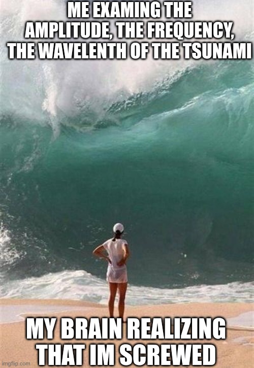 Wave |  ME EXAMING THE AMPLITUDE, THE FREQUENCY, THE WAVELENTH OF THE TSUNAMI; MY BRAIN REALIZING THAT IM SCREWED | image tagged in wave,science,bill nye the science guy,ocean,funny memes | made w/ Imgflip meme maker