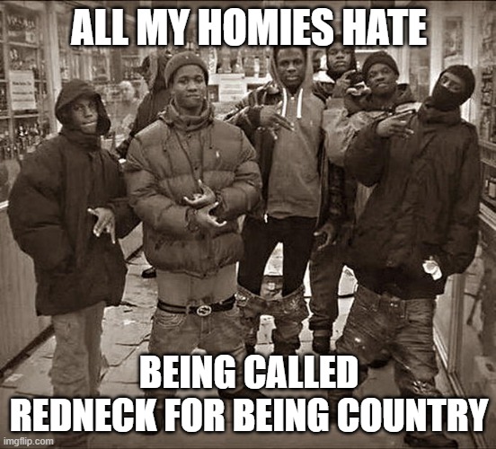 All My Homies Hate |  ALL MY HOMIES HATE; BEING CALLED REDNECK FOR BEING COUNTRY | image tagged in all my homies hate | made w/ Imgflip meme maker
