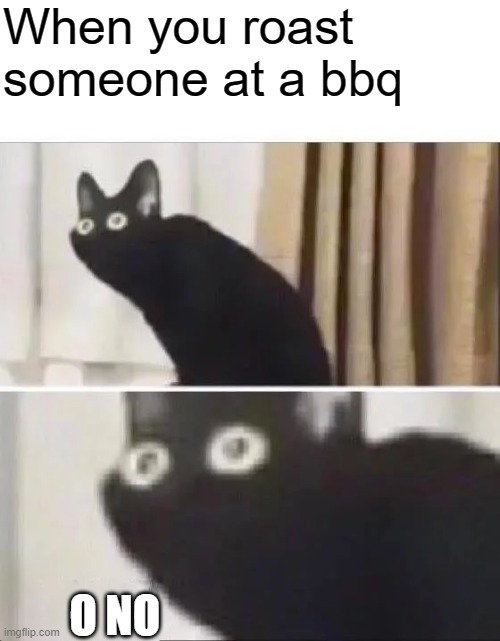 Oh No Black Cat | When you roast someone at a bbq; O NO | image tagged in oh no black cat | made w/ Imgflip meme maker