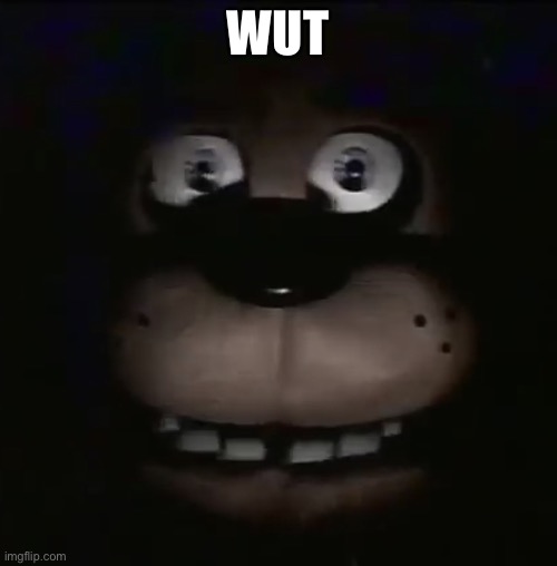 freddy | WUT | image tagged in freddy | made w/ Imgflip meme maker