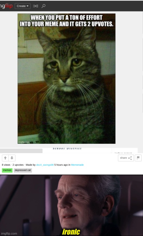 does this count as a repost? | ironic | image tagged in palpatine ironic,memes,funny memes,depressed cat | made w/ Imgflip meme maker