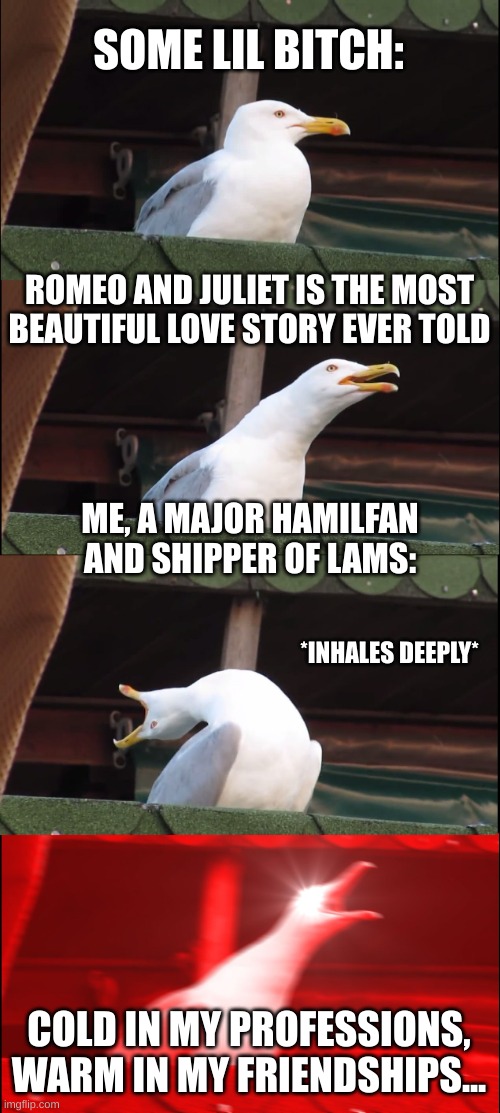 Inhaling Seagull | SOME LIL BITCH:; ROMEO AND JULIET IS THE MOST BEAUTIFUL LOVE STORY EVER TOLD; ME, A MAJOR HAMILFAN AND SHIPPER OF LAMS:; *INHALES DEEPLY*; COLD IN MY PROFESSIONS, WARM IN MY FRIENDSHIPS... | image tagged in memes,inhaling seagull | made w/ Imgflip meme maker