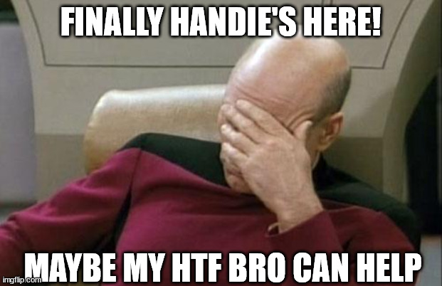 Captain Picard Facepalm Meme | FINALLY HANDIE'S HERE! MAYBE MY HTF BRO CAN HELP | image tagged in memes,captain picard facepalm | made w/ Imgflip meme maker