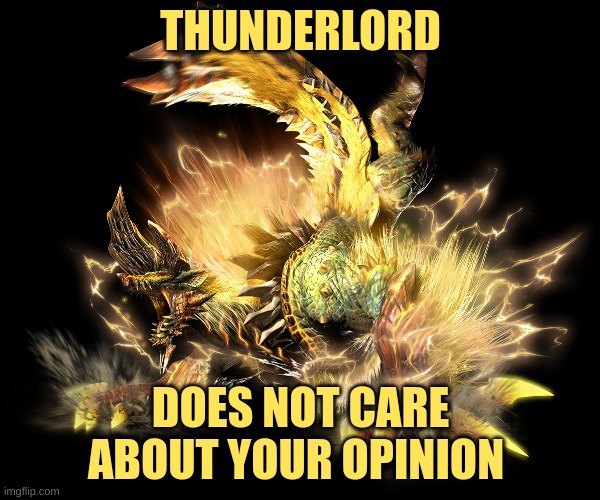 THUNDERLORD; DOES NOT CARE ABOUT YOUR OPINION | image tagged in monster hunter | made w/ Imgflip meme maker