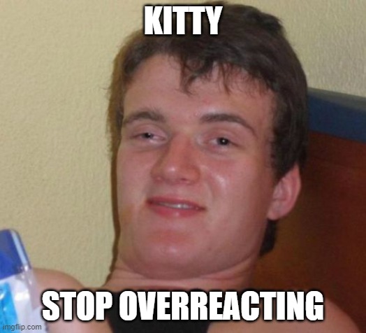 calm down, yeesh (kitty note: sorry i really did :[) | KITTY; STOP OVERREACTING | image tagged in memes,10 guy | made w/ Imgflip meme maker