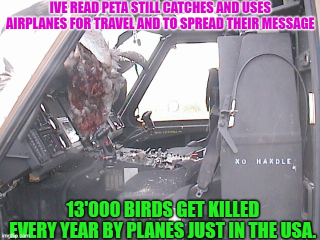 I just read an article that Peta spread their message by plane over seaworld in 2018 | IVE READ PETA STILL CATCHES AND USES AIRPLANES FOR TRAVEL AND TO SPREAD THEIR MESSAGE; 13'000 BIRDS GET KILLED EVERY YEAR BY PLANES JUST IN THE USA. | image tagged in peta,animal rights,airplanes | made w/ Imgflip meme maker