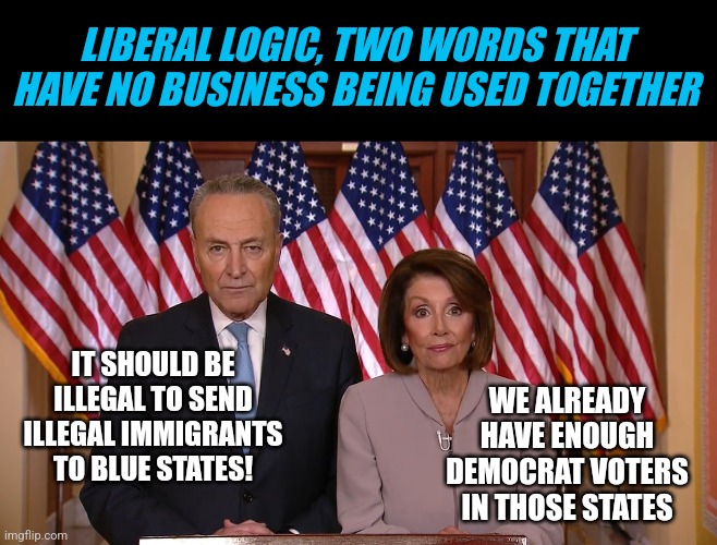 If Aristotle was the father of logic, Democrats will be the death of it! | LIBERAL LOGIC, TWO WORDS THAT HAVE NO BUSINESS BEING USED TOGETHER; IT SHOULD BE ILLEGAL TO SEND ILLEGAL IMMIGRANTS TO BLUE STATES! WE ALREADY HAVE ENOUGH DEMOCRAT VOTERS IN THOSE STATES | image tagged in chuck and nancy,democrats,liberal logic,illegal immigration,bus,hypocrisy | made w/ Imgflip meme maker