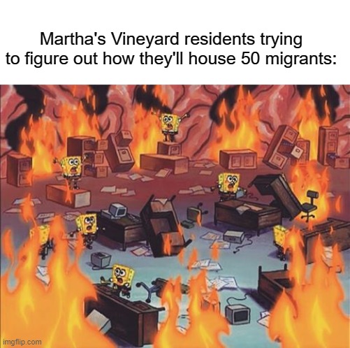 Martha's Vineyard residents trying to figure out how they'll house 50 migrants: | image tagged in spongebob brain,memes,liberals,immigrants,illegal immigration,crisis | made w/ Imgflip meme maker