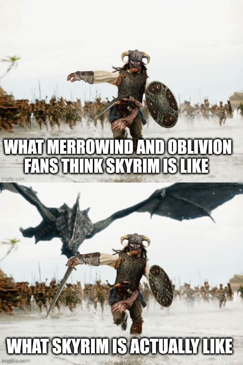 Elder Scrolls V in a nutshell | WHAT MERROWIND AND OBLIVION FANS THINK SKYRIM IS LIKE; WHAT SKYRIM IS ACTUALLY LIKE | image tagged in dragonborn chased 2,dragonborn being chased,skyrim meme | made w/ Imgflip meme maker