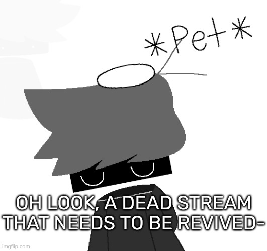 [Could I have mod or something?] | OH LOOK, A DEAD STREAM THAT NEEDS TO BE REVIVED- | image tagged in shadow rien remastered,idk,stuff,s o u p,carck | made w/ Imgflip meme maker