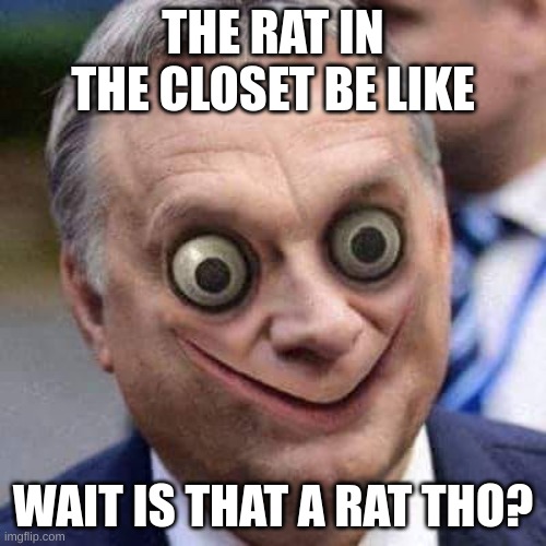 cute rat right? | THE RAT IN THE CLOSET BE LIKE; WAIT IS THAT A RAT THO? | image tagged in momorban | made w/ Imgflip meme maker