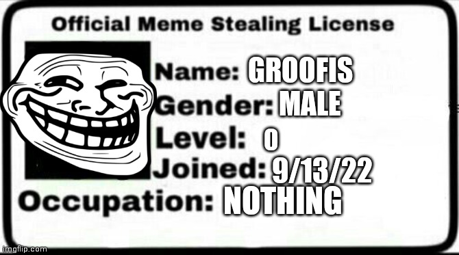 Meme Stealing License | GROOFIS; MALE; 9/13/22; NOTHING | image tagged in meme stealing license | made w/ Imgflip meme maker