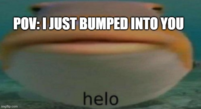 helo | POV: I JUST BUMPED INTO YOU | image tagged in helo | made w/ Imgflip meme maker