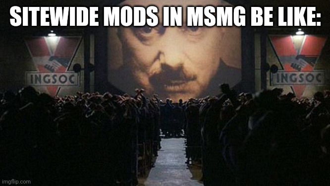 1984 | SITEWIDE MODS IN MSMG BE LIKE: | image tagged in 1984 | made w/ Imgflip meme maker