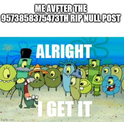 ME AVFTER THE 9573858375473TH RIP NULL POST | image tagged in blank white template,alright i get it | made w/ Imgflip meme maker