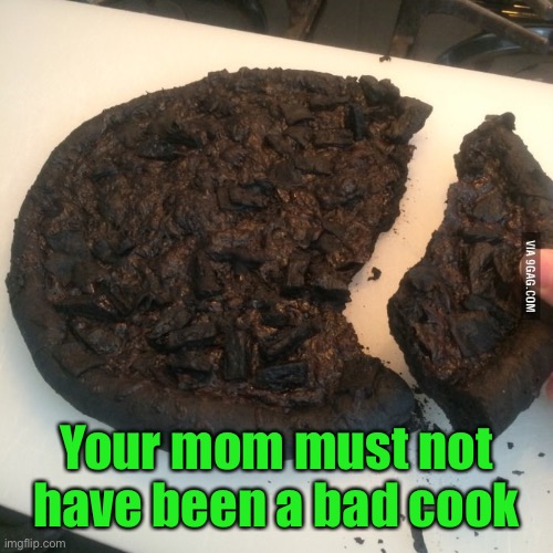 Burnt pizza  | Your mom must not have been a bad cook | image tagged in burnt pizza | made w/ Imgflip meme maker