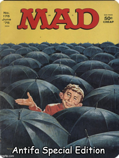 MAD- Antifa Special Edition | Antifa Special Edition | image tagged in memes,politics | made w/ Imgflip meme maker