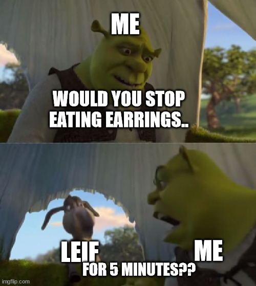 ur gonna get fat | ME; WOULD YOU STOP EATING EARRINGS.. LEIF; ME; FOR 5 MINUTES?? | image tagged in could you not ___ for 5 minutes | made w/ Imgflip meme maker