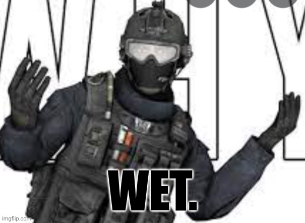 Wet meme | WET. | image tagged in russian badger | made w/ Imgflip meme maker
