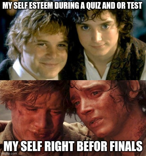 Sam and Frodo Before and After Mt Doom | MY SELF ESTEEM DURING A QUIZ AND OR TEST; MY SELF RIGHT BEFOR FINALS | image tagged in sam and frodo before and after mt doom | made w/ Imgflip meme maker