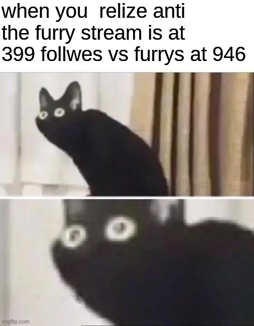 Oh No Black Cat | when you  relize anti the furry stream is at 399 follwes vs furrys at 946 | image tagged in oh no black cat | made w/ Imgflip meme maker