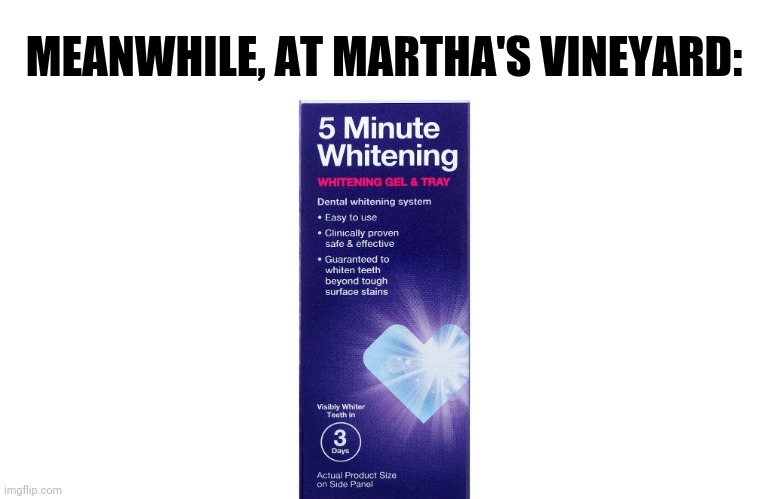 Visibly whiter in only 24 hours | MEANWHILE, AT MARTHA'S VINEYARD: | image tagged in liberal hypocrisy,white people,illegal immigration | made w/ Imgflip meme maker