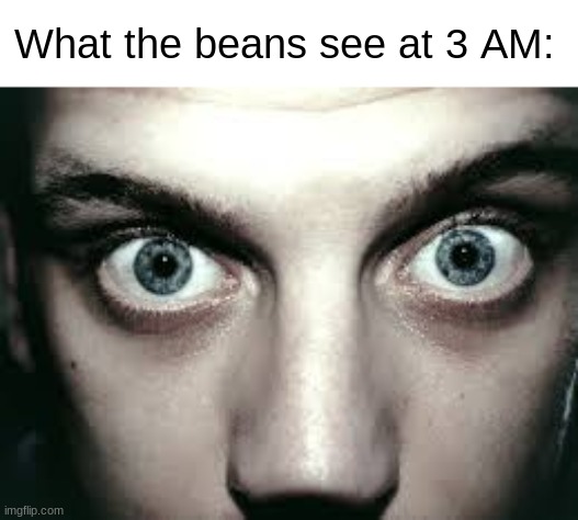 Beans | What the beans see at 3 AM: | image tagged in what the microwave sees | made w/ Imgflip meme maker