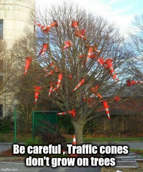 Be careful , Traffic cones 
don't grow on trees | made w/ Imgflip meme maker