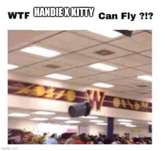 it's garbage -Handie | HANDIE X KITTY | image tagged in wtf --------- can fly | made w/ Imgflip meme maker