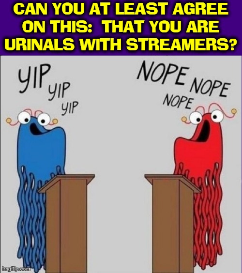 Besides Arguers, what exactly are the Arguers? |  CAN YOU AT LEAST AGREE
ON THIS:  THAT YOU ARE
URINALS WITH STREAMERS? | image tagged in vince vance,urinals,memes,red vs blue,debates,streamer | made w/ Imgflip meme maker