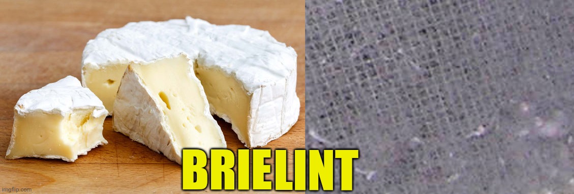 LINT; BRIE | image tagged in brie,lint,cheese,brilliant | made w/ Imgflip meme maker
