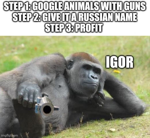 Gorilla with Gun |  STEP 1: GOOGLE ANIMALS WITH GUNS
STEP 2: GIVE IT A RUSSIAN NAME
STEP 3: PROFIT; IGOR | image tagged in funny memes,memes,gorilla,guns | made w/ Imgflip meme maker